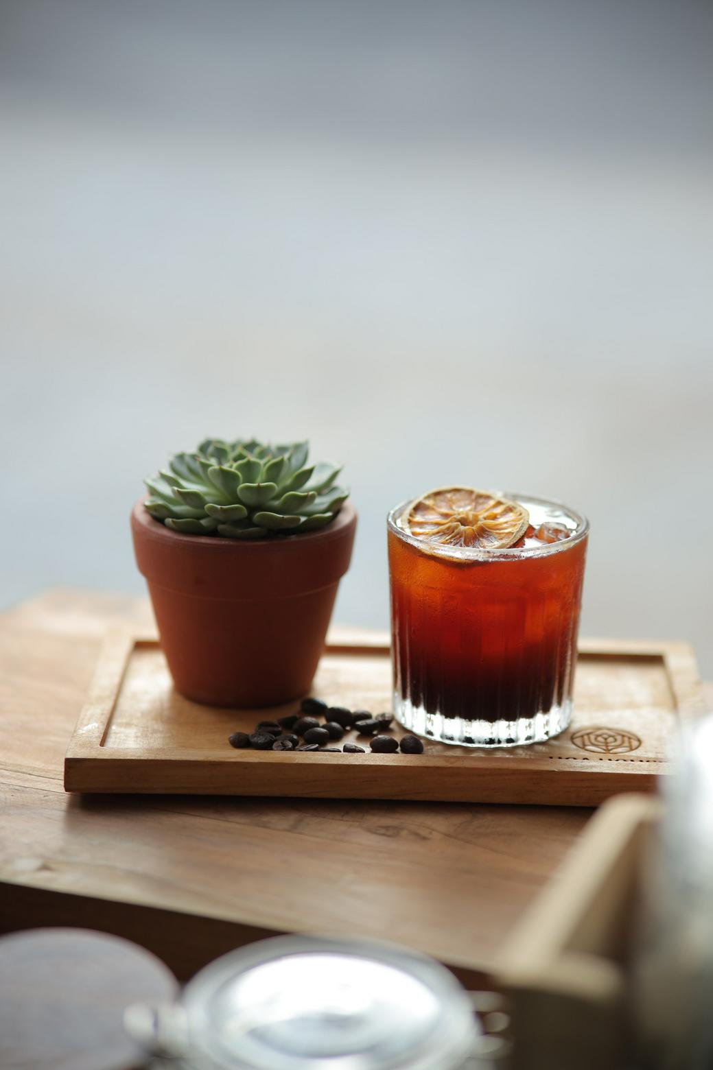 Chậu đất nung trồng sen đá 